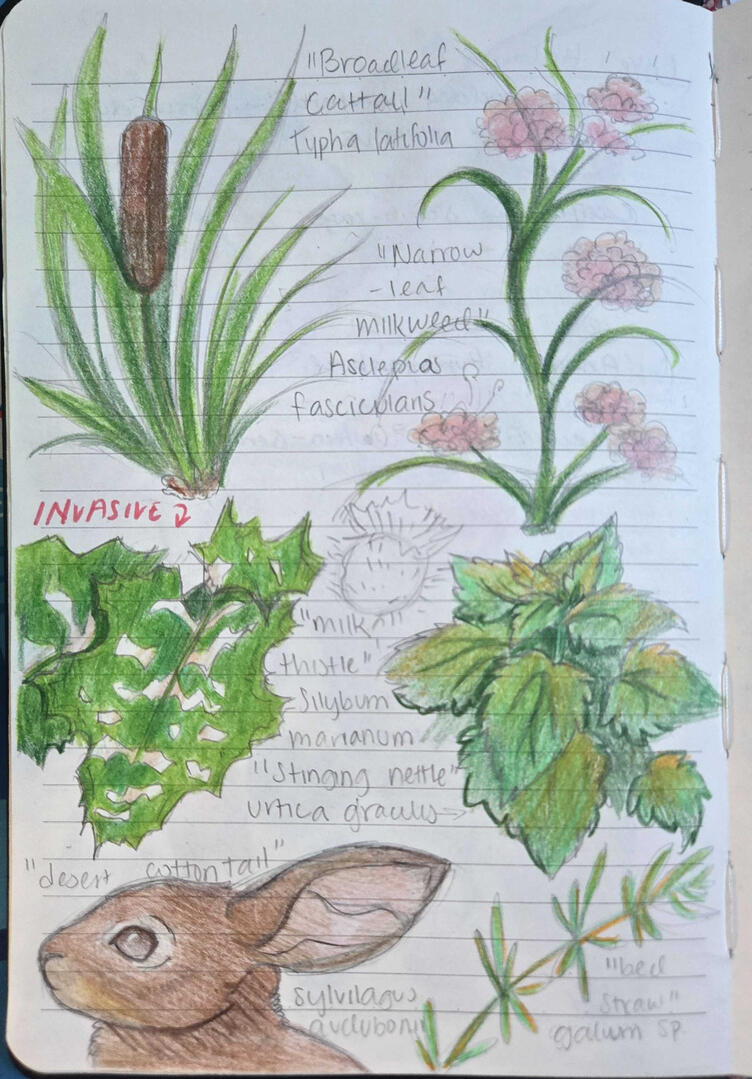 Field Journal Entry 1 Field Journal Entry 1