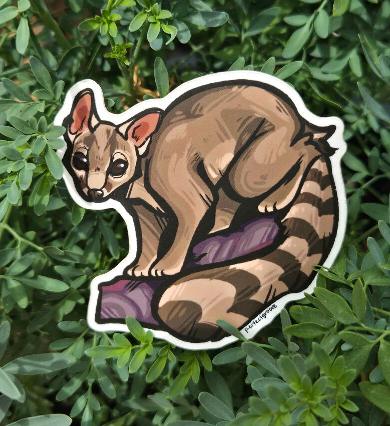 Ringtail Sticker Ringtail Sticker